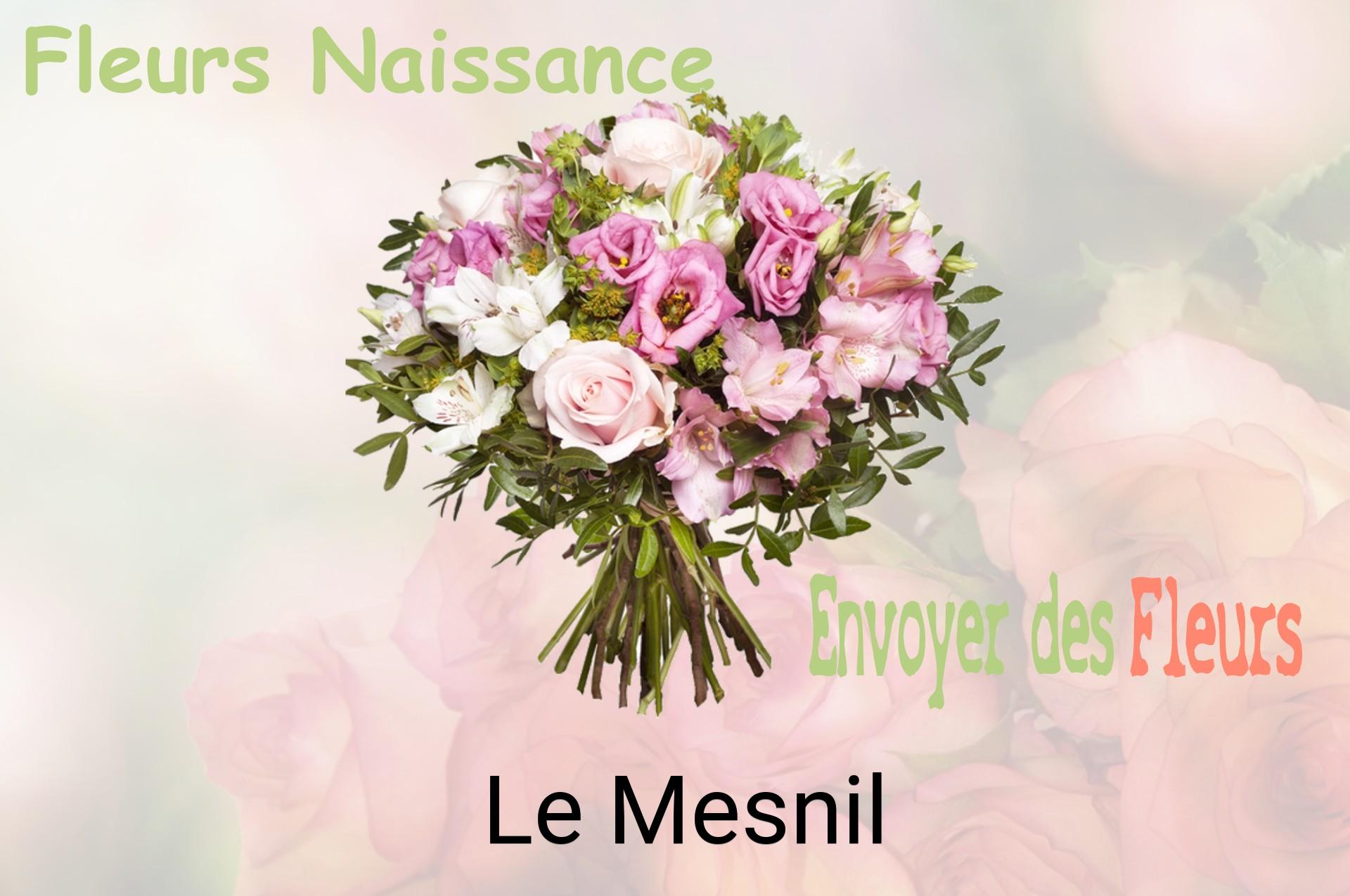 Bouquet de fleurs de naissance livré à Le Mesnil
