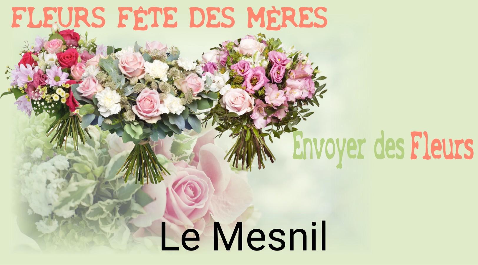 Bouquet de Fête des Mères livré à Le Mesnil